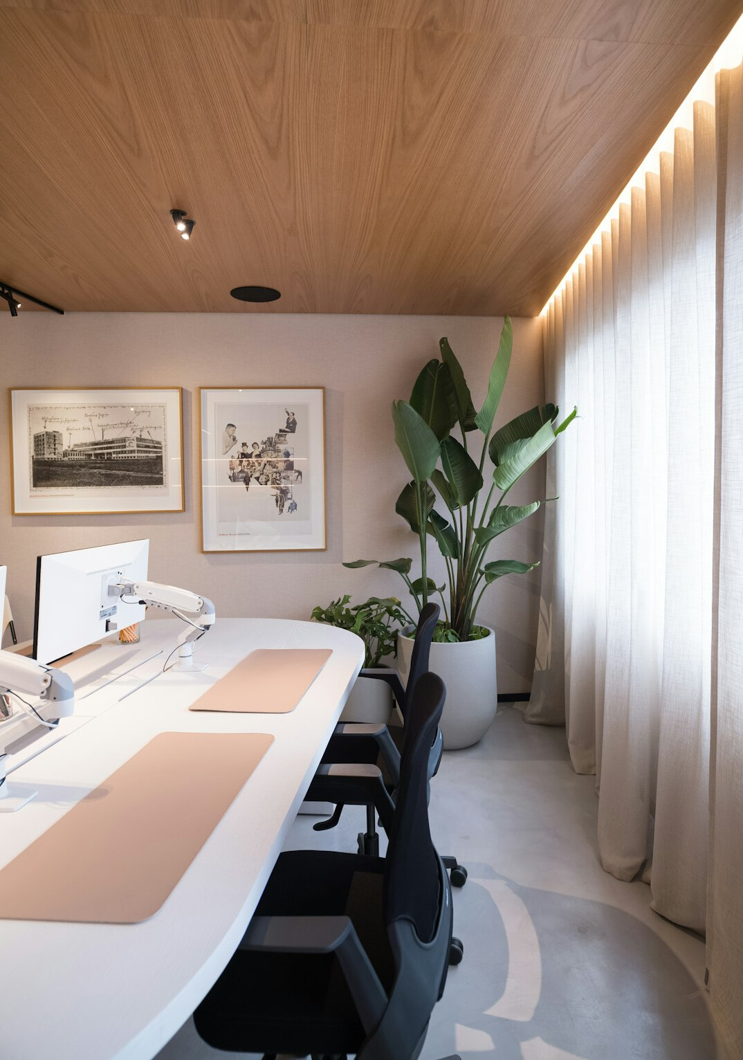 modern office with plants